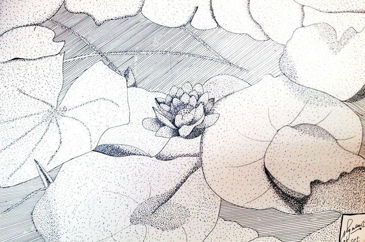 Jin - Lotus Garden